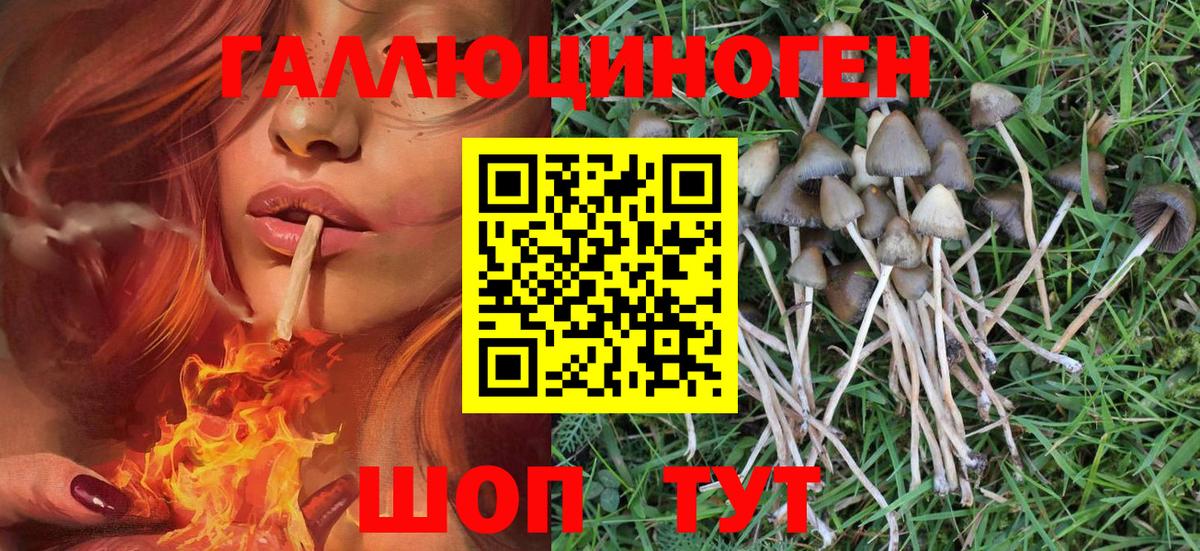 Галлюциногенные грибы Psilocybine cubensis  хочу наркоту  Киреевск  Вход с VPN  Галлюциногенные грибы ЛСД 