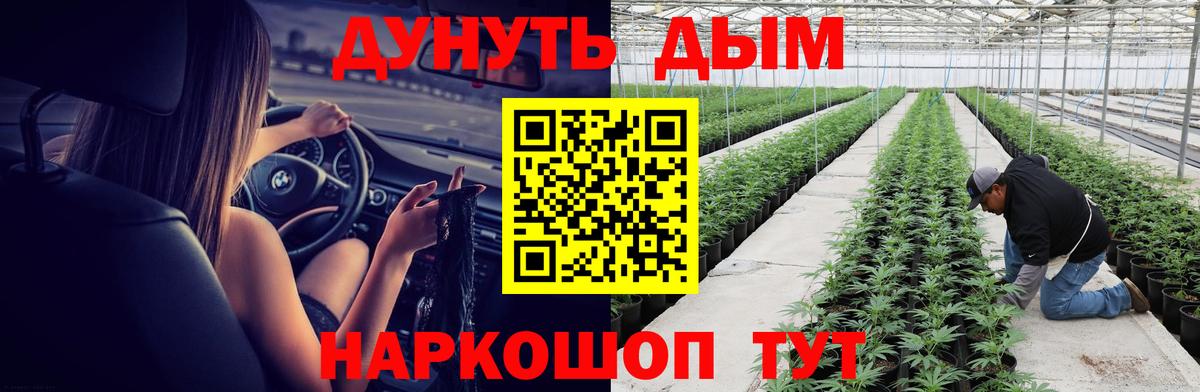 Конопля конопля  Конопля OG Kush  Киреевск  Марихуана тримм  Вход с VPN 